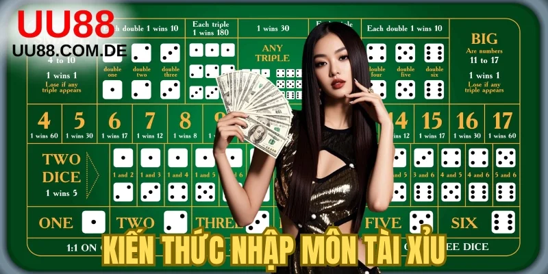 Kiến thức nhập môn tài xỉu